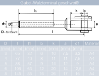 Walzterminal Gabel-Walzterminal Edelstahl A4