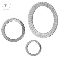 SCHNORR-Sicherungsscheiben M1,6 bis M30 Form S (Standard), Edelstahl A2