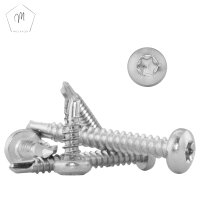 100 St&uuml;ck Bohrschrauben 4,8 X 50 mit Linsenkopf, Form M Innensechsrund DIN 7504 Edelstahl A2