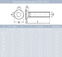 Senkkopfschrauben M3 X 4/4 bis M10 X 200/200 mit Innensechskant DIN 7991 Edelstahl A2 und Rosetten M3 bis M10 gestanzt, Edelstahl A2